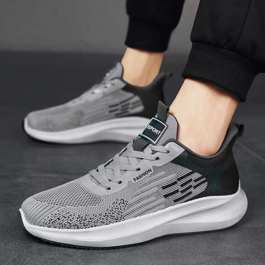 293-004 Gris